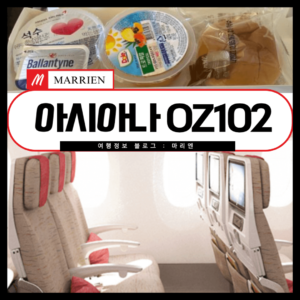 OZ102-아시아나