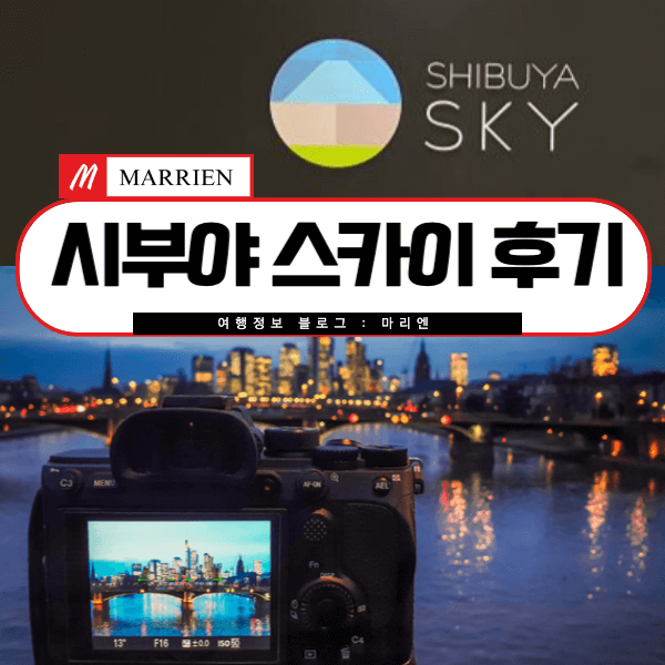 시부야스카이 후기(예약, 가는법, 추천시간)